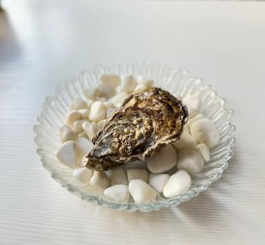 Фін де Клер №0