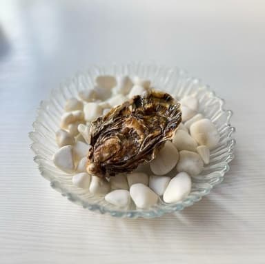 Фін де Клер №1