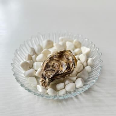 Чорна Перлина №2