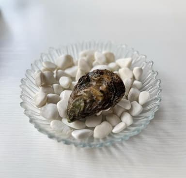 Біла перлина №2