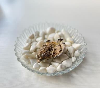 Чорноморка №3