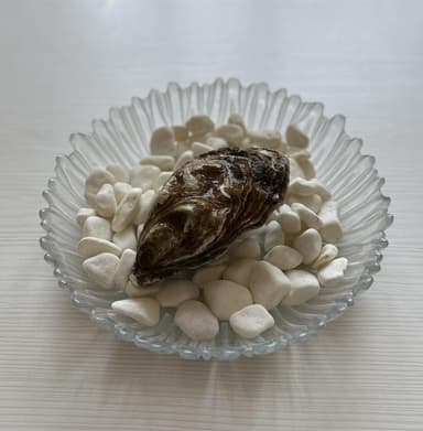 Нормандія extra large