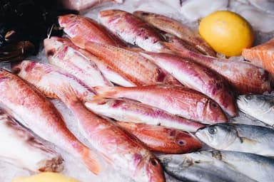 Барабуля атлантична