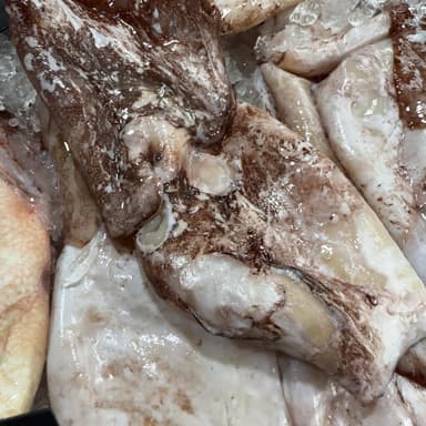 Кальмар далекосхідний з Китаю