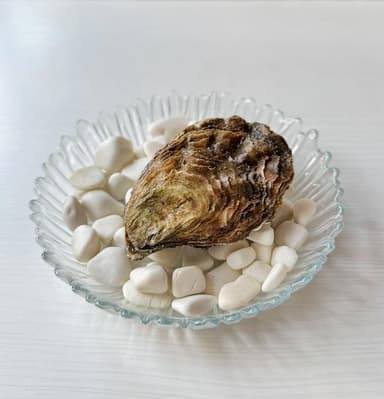 Голландський принц №0