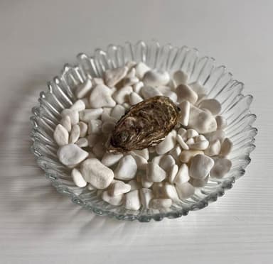 Фарфаліна №4