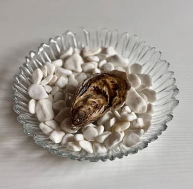 Шато Олерон №4