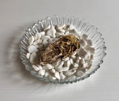 Спесіаль Шеллер №2